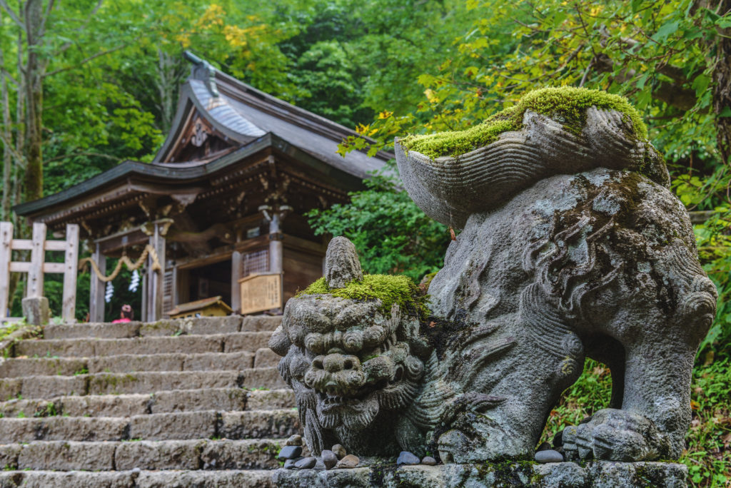 The stone guardian dog of Togakushi Shrine