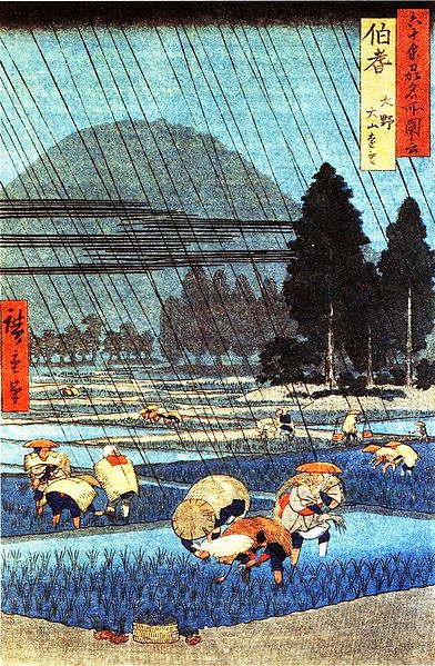 Rice field in Oki province, Hiroshige Uragawa (1797-1858)