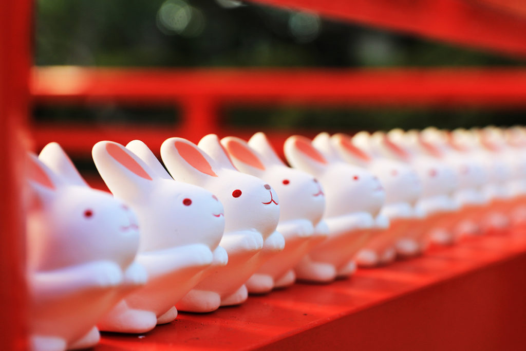 Bunnies at Okazaki Shrine